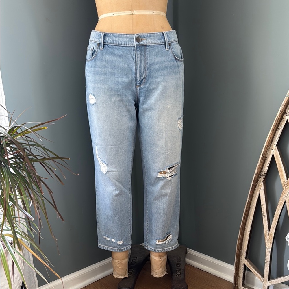 LOFT Distressed Crop Jeans